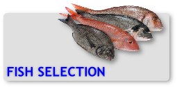 Fish Selection from Bayline Seafoods